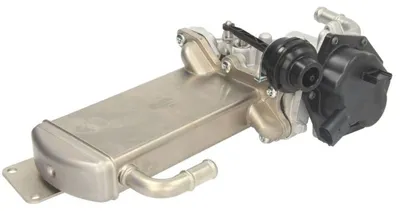 Obrázok produktu pre DELPHI EGR ventil EG10576-