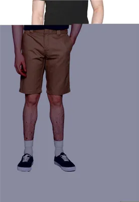 Image de Dickies Errores de Foto DK0A4XNFKHK1 in Multicolored color size 42