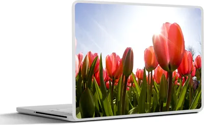 Produktbild von MuchoWow® Laptop Aufkleber Sticker Cover Ein Feld voller roter Tulpen 31x22.5 cm - Laptop-Deko
