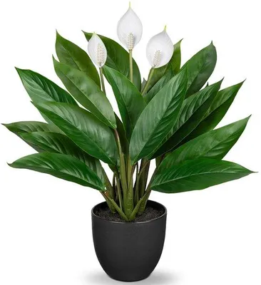 Immagine prodotto di Pianta artificiale dall'aspetto realistico, pianta decorativa Calathea con 22 foglie in vaso di plastica, pianta da interno, altezza 43 cm, verde