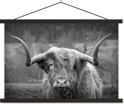 Produktbild von MuchoWow® Textilposter Schottisches Hochlandrind - Kuhkopf - Landschaft - Natur - Kuh 60x40 cm mit schwarzem Rahmen - Hölzernes