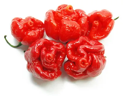 Produktbild von Trinidad Moruga Scorpion 106 ml. - L'albero dei golosi