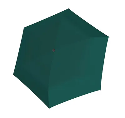 Produktbild von doppler Taschenregenschirm Regenschirm Carbonsteel Mini Slim Seasonal Evergreen grün