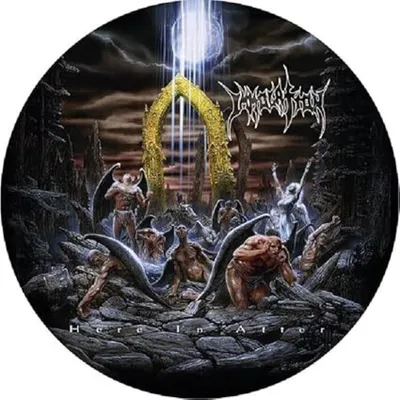 Immagine prodotto di Immolation - Here In After (Ristampa) (Edizione limitata) (Picture Disc) (LP)