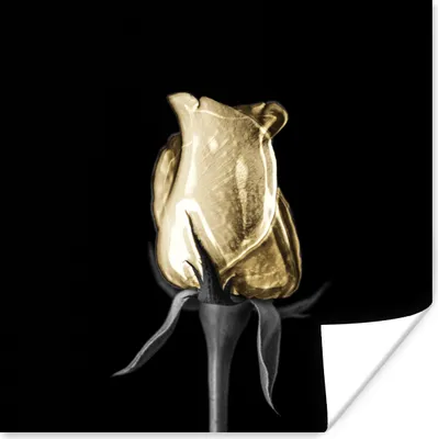 Produktbild von MuchoWow® Poster Rosen - Blumen - Gold - Schwarz 50x50 cm - Wohnzimmerdekoration