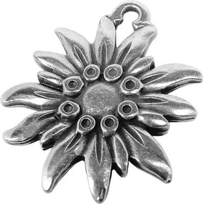 Produktbild von Minott Schmuck Anhänger | Blume Messing, versilbert 30686