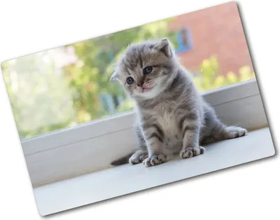 Produktbild von Tulup Glas Herdabdeckplatte - 80x52 cm - Glaskeramikkochfeld-Abdeckung Spritzschutz Glasabdeckplatte - Einteilig - Tiere - Kleine Katze Fenster - Grau