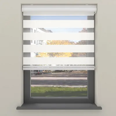 A window with a roller blind installed.