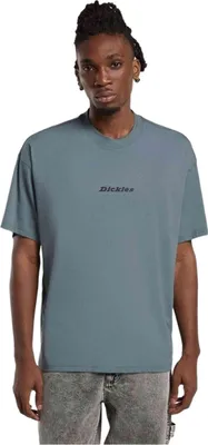 Immagine prodotto di T-shirt Dickies DK0A4YRNG701 da Uomo