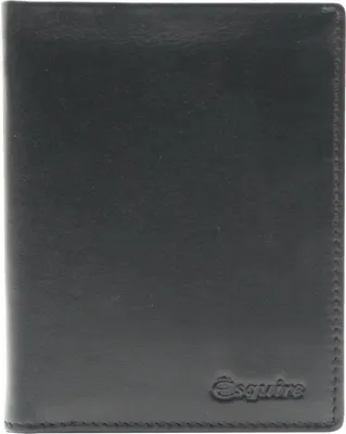 Immagine prodotto di Esquire caso di identificazione New Silk Passport Card Holder Black nero