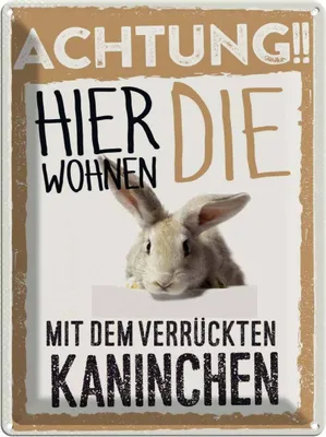 Produktbild von vianmo Blechschild 40x30 cm Tiere Achtung hier Kaninchen Tier Haustier