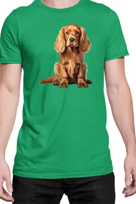 Produktbild von Herren T-Shirt Dogs Breeds Cocker Spaniel Dog Breed 006, Man L / Grün