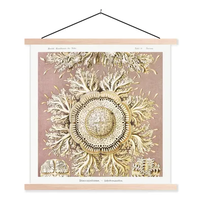 Produktbild von MuchoWow® Textilposter Jahrgang - Ernst Haeckel - Qualle - Kunst 60x60 cm mit holzfarbenen Rahmen - Wanddekoration