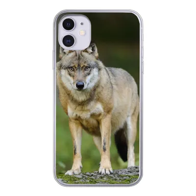 Produktbild von MuchoWow® Handyhülle Schutzhülle Hülle für iPhone 11 Wolf - Asien - Pflanzen Silikon Softcase Handy Hülle - Handytasche
