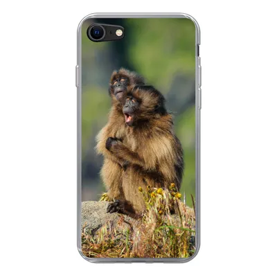 Produktbild von MuchoWow® Handyhülle Schutzhülle Hülle für iPhone 8 Affen - Pflanzen - Steine - Familie Silikon Softcase Handy Hülle - Schutzhaube