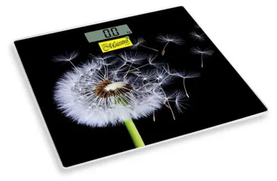 Obrázek produktu pro elektronická koupelnová váha MR1828