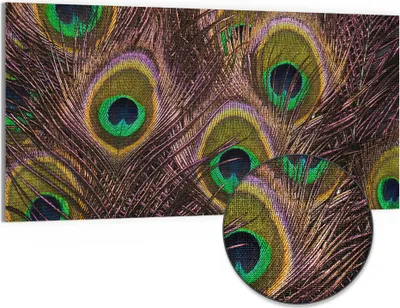 Produktbild von DEQORI Hybrid Leinwand Bild 100x50 cm 'Pfauenfedernpracht' Wandbild Glas flach modern