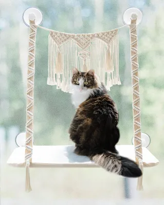 Image de Hamac pour chat à fixer à la fenêtre, montage mural, supporte jusqu'à 20 kg, structure en fer, pour intérieur