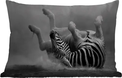 Produktbild von MuchoWow® Outdoor Kissen - Zebra - Tiere - Schwarz - Weiß - 50x30 cm - Wetterfest - Lounge Kissen - Sofa kissen - Wohnzimmer Dekoration