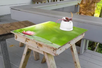 Produktbild von Wallario selbstklebende Möbelfolie/ Tischdecke für Innen und Außen, Größe: 50 x 50 cm - Seerose auf dem Wasser