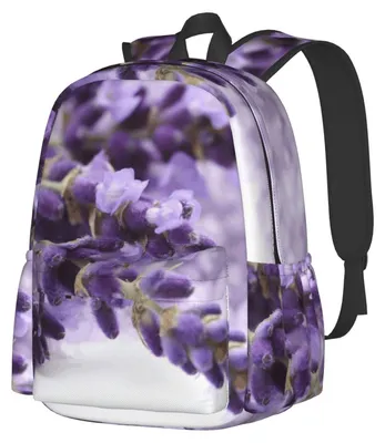 Immagine prodotto di Zaino leggero per laptop, ideale per scuola e lavoro