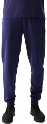 Obrázok produktu pre 4F - „4FWSS24TTROM603“ Joggingové nohavice pre mužov MR78607 (L) (fialové)