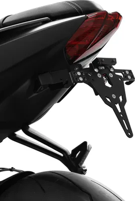 Produktbild von ZIEGER Pro Kennzeichenhalter kompatibel mit Triumph Street Triple 765R
