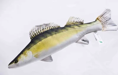 Zdjęcie produktu dla GABY – poduszka, przytulanka, pluszowa rybka, pluszowa zabawka, pomysł na prezent, sandacz, 50 cm