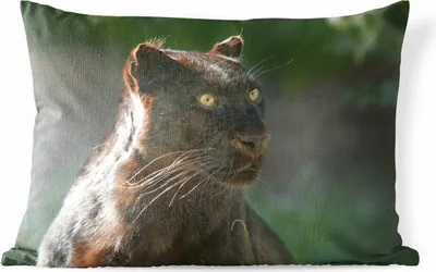 Produktbild von MuchoWow® Outdoor Kissen - Panther - Nahaufnahme - Schwarz - 50x30 cm - Wetterfest - Lounge Kissen - Sofa kissen - Wohnzimmer Dekoration
