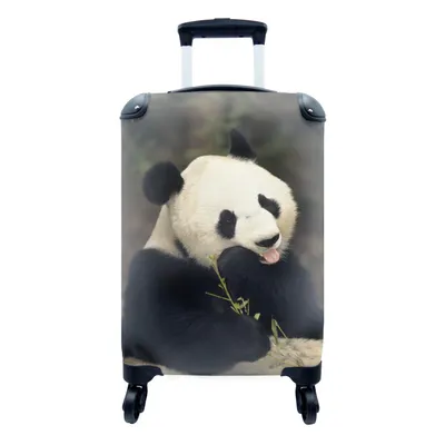 Produktbild von MuchoWow® Koffer Handgepäck Trolley Rollkoffer Kleine Reisekoffer mit 4 Rollen - Panda - Bambus - Essen - Cabin Size < 55x40x23 cm & 55x40x20 cm - Fotokoffer - Kabinenkoffer - Boardgepäck - Reise-Box - Reisekoffer - Reisegepäck - Koffer mit Bild - Trolley für Kinder