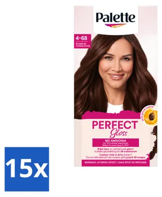 Obrázek produktu pro 15 kusů barviva Palette Perfect Gloss, dočasné intenzivní barvení, omyvatelné, odstín 1-0 černá - výhodná sada
