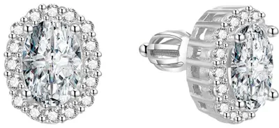 Produktbild von Glittery silver earrings AGUP1501S