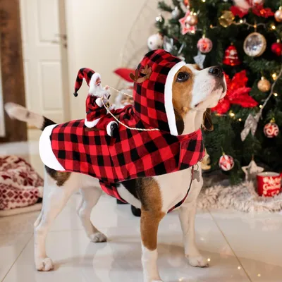 Produktbild von Hunde Weihnachtskostüm - einzigartige Stil - geeignet für alle Größen