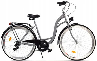 Zdjęcie produktu dla Rower Dallas City 28" 7spd - siwy z czarnym