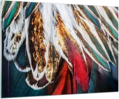 Produktbild von Bilder auf glas - Federn Federn Vogel - 100x70cm - Glasbilder - Wandbilder - Kunstdruck - zum Aufhängen bereit - Wanddekoration aus Glas - Glas Bilder - Wandbild auf Glas - Einteilig - GAA100x70-3743