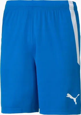 Zdjęcie produktu dla Puma Spodnie Spodenki Męskie Teamliga Niebieskie, 70492402, Rozmiar: 188