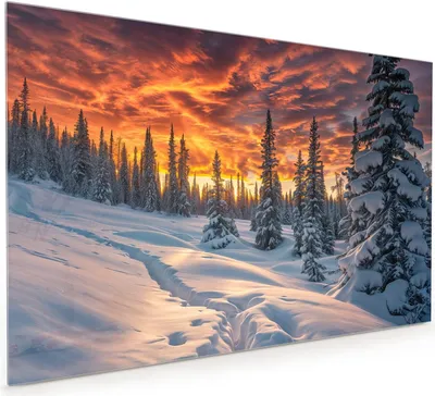 Produktbild von Küchenrückwand Spritzschutz Glas mit Motiv Winter Sonnenuntergang 40 x 40 cm