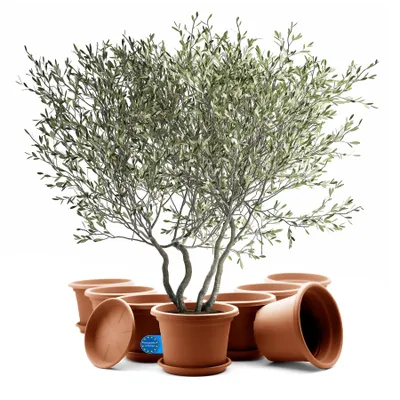 Produktbild von BigDean 8 Stück Blumentopf mit Untersetzer rund ø 40 cm Terrakotta – wetterfester Pflanzkübel Europe
