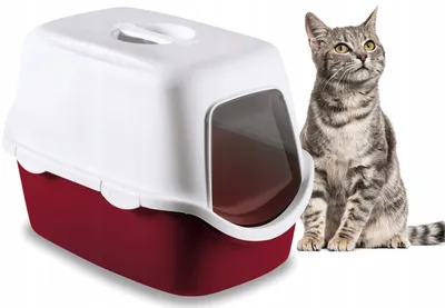 Produktbild von Katzentoilette mit Filterabdeckung, Mehrfarbig
