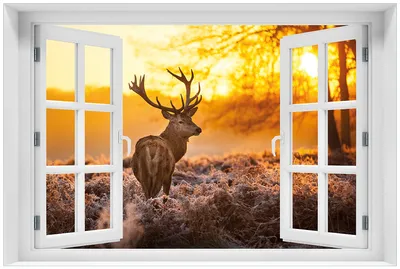 Produktbild von Wallario Premium Glasbild mit Fensterrahmen, freischwebende Optik, kräftige Farben, Größe 60 x 90 cm Motiv stattlicher Rothirsch im Morgengrauen