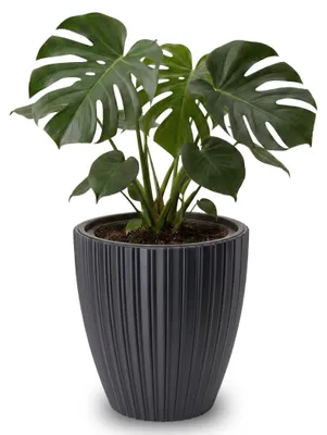 Produktbild von Großer Outdoor Blumentopf ZENTO schwarz in 29 x 32 cm