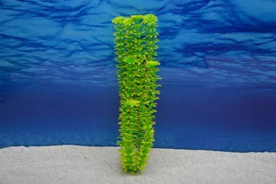 Produktbild von Amtra Cabomba XL 36cm – Künstliche Pflanze für Aquarien-Dekoration