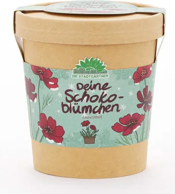 Produktbild von Schokoblumen aus dem Becher - Anzuchtset mit Schokoladenblumen-Saatgut