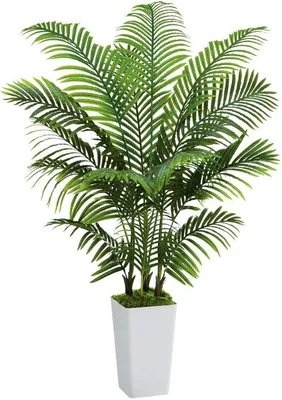Produktbild von Unyqoos Kunstpalm 150 cm - Realistische Dekoration für Innen und Außen, pflegeleicht und stabil