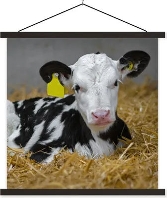 Produktbild von MuchoWow® Textilposter Kuh - Stroh - Kalb - Tier 90x90 cm mit schwarzem Rahmen - Magnetisches