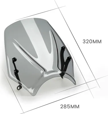 Obrázek produktu pro PUIG naked sport screen smoked clear pro Triumph trident