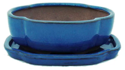 Produktbild von Bonsai-Schale mit Unterteller Gr. 2 - Blau - haitang/oval - Modell I5 - L 14,5cm - B 12,5cm - H 5cm