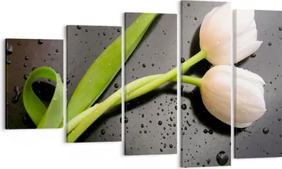 Produktbild von Bild auf Leinwand - Leinwandbild - Tulpen Blume Pflanzung Pflanze - 100x60cm - Wand Bild - Wanddeko - Leinwanddruck - Bilder - Kunstdruck - Wanddekoration - Leinwand bilder - Wandkunst - EG100x60-2301