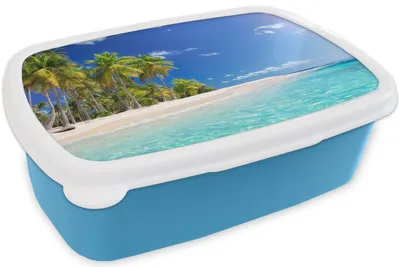Produktbild von KitchenYeah® Lunchbox Brotzeit Brotdose 17x11 cm Strand - Meer - Palme Kinder Brotzeitdose - Lunch - Kunststoff  - Brotbüchse - Sandwichbox - Lunchbox für Kinder