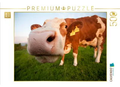 Produktbild von CALVENDO Puzzle Kuhnase | 500 Teile Lege-Größe 48 × 36 cm Foto-Puzzle für Erwachsene